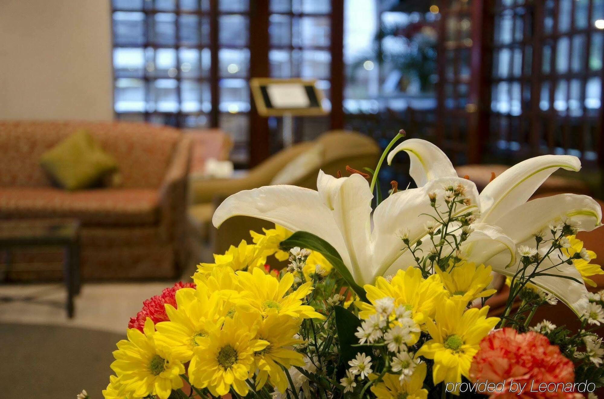 Hotel The Executive